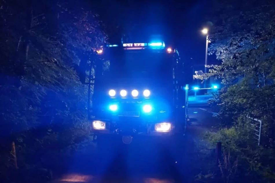 Nasila się problem "ognisk" na osiedlu - zdjęcie 7