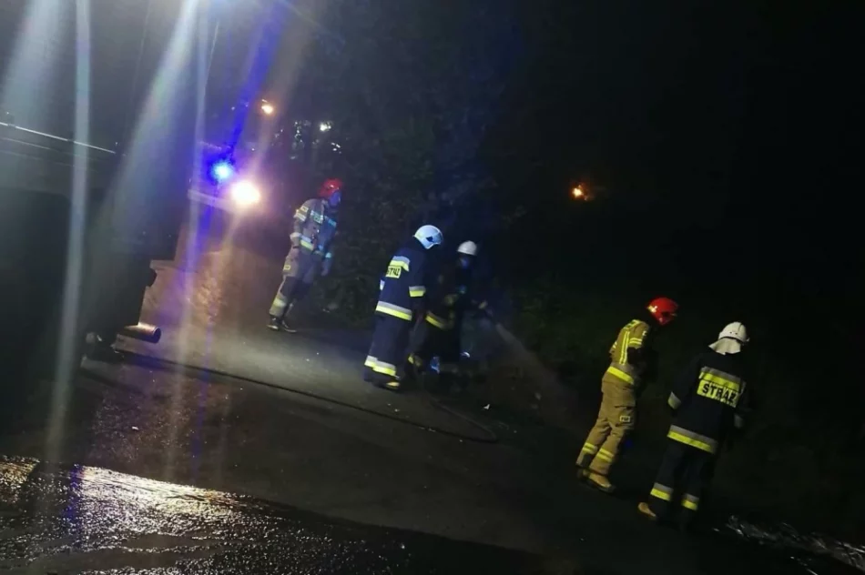 Nasila się problem "ognisk" na osiedlu - zdjęcie 9