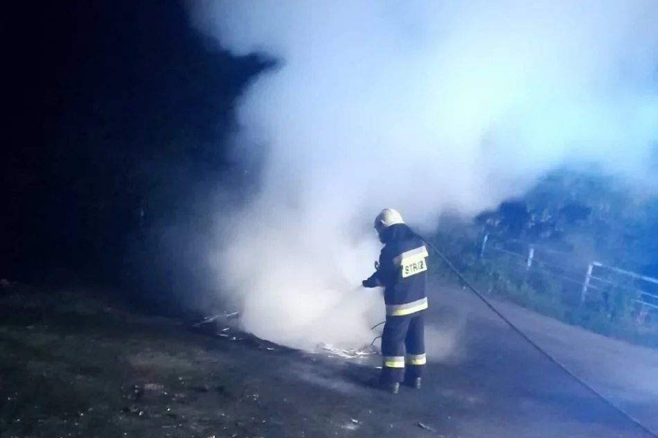 Nasila się problem "ognisk" na osiedlu - zdjęcie 11