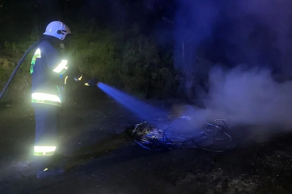 Nasila się problem "ognisk" na osiedlu - zdjęcie 12