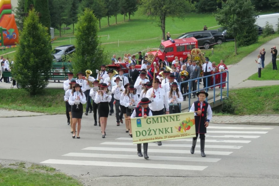 Mieszkańcy i turyści bawili się na dożynkach - zdjęcie 2