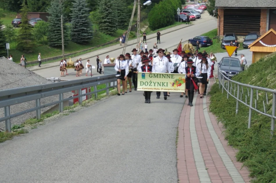 Mieszkańcy i turyści bawili się na dożynkach - zdjęcie 3