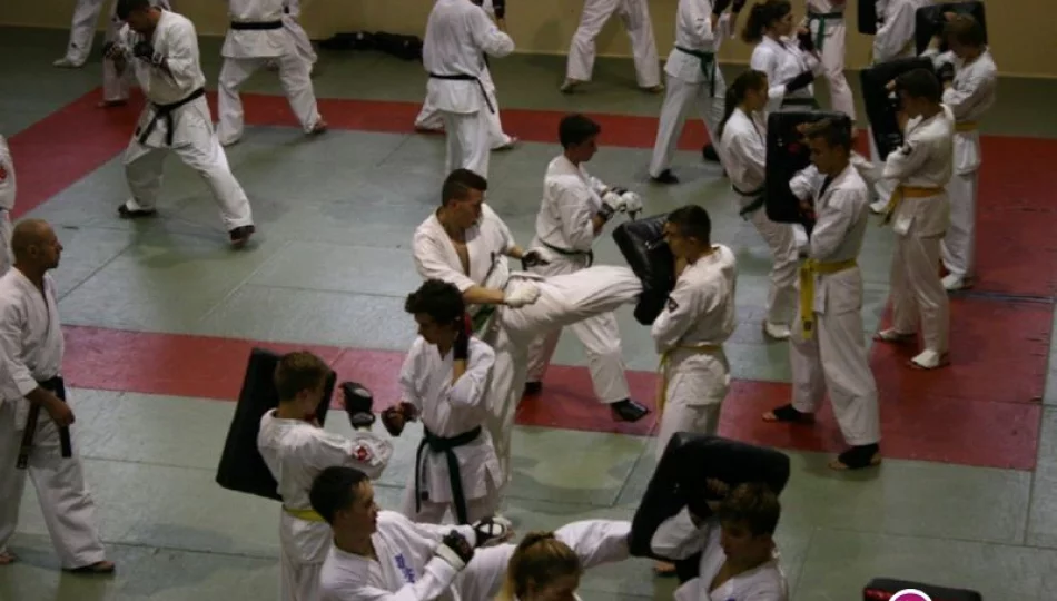 Limanowscy karatecy z ARS Klub Kyokushinkai będą reprezentować Polskę - zdjęcie 1