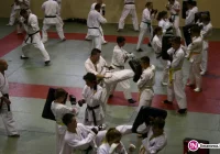 Limanowscy karatecy z ARS Klub Kyokushinkai będą reprezentować Polskę - zdjęcie główne