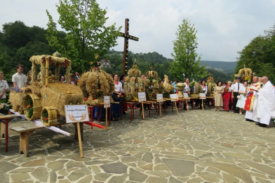 Mieszkańcy i turyści bawili się na dożynkach - zdjęcie 15