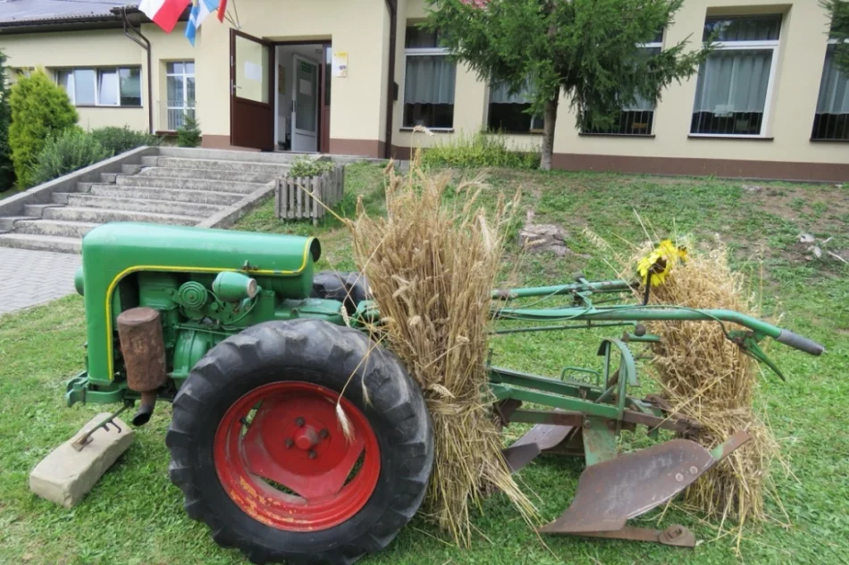 Mieszkańcy i turyści bawili się na dożynkach - zdjęcie 19
