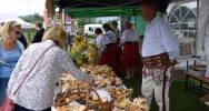 "Rytmy i smaki" po raz pierwszy w miejscowości - zdjęcie 5