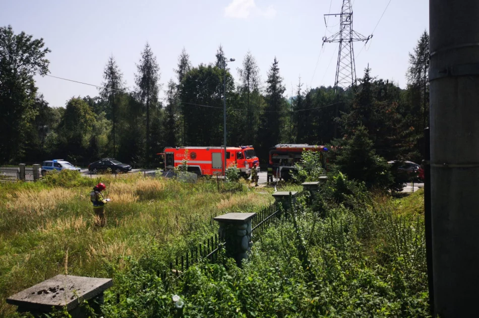 Pożar obok pustostanu - zdjęcie 4