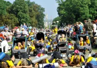 Pątnicy dotarli do celu jubileuszowej pielgrzymki - zdjęcie główne