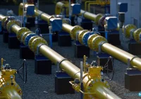 Dyżury doradcy w urzędzie - zdjęcie główne