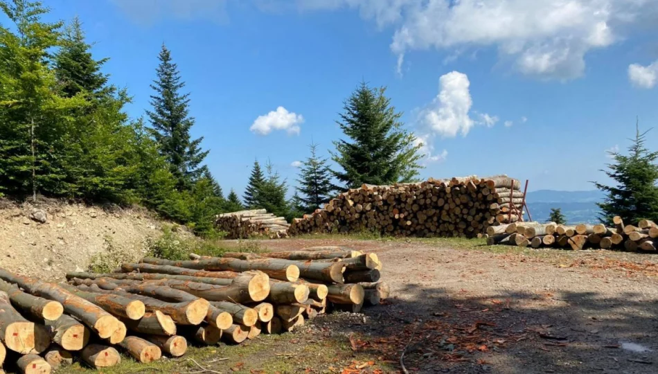 Utrudnienia na szlakach w Gorcach – trwają prace leśne - zdjęcie 1