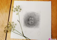 'Podwórkowe persony' wystawa prac Joanny Raczek - zdjęcie główne