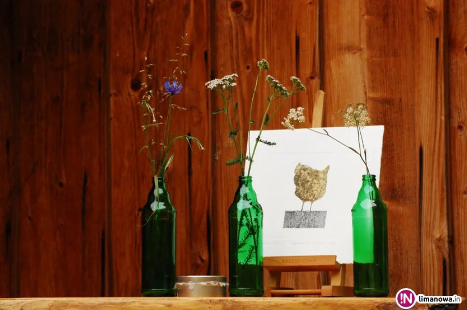 'Podwórkowe persony' wystawa prac Joanny Raczek - zdjęcie 2