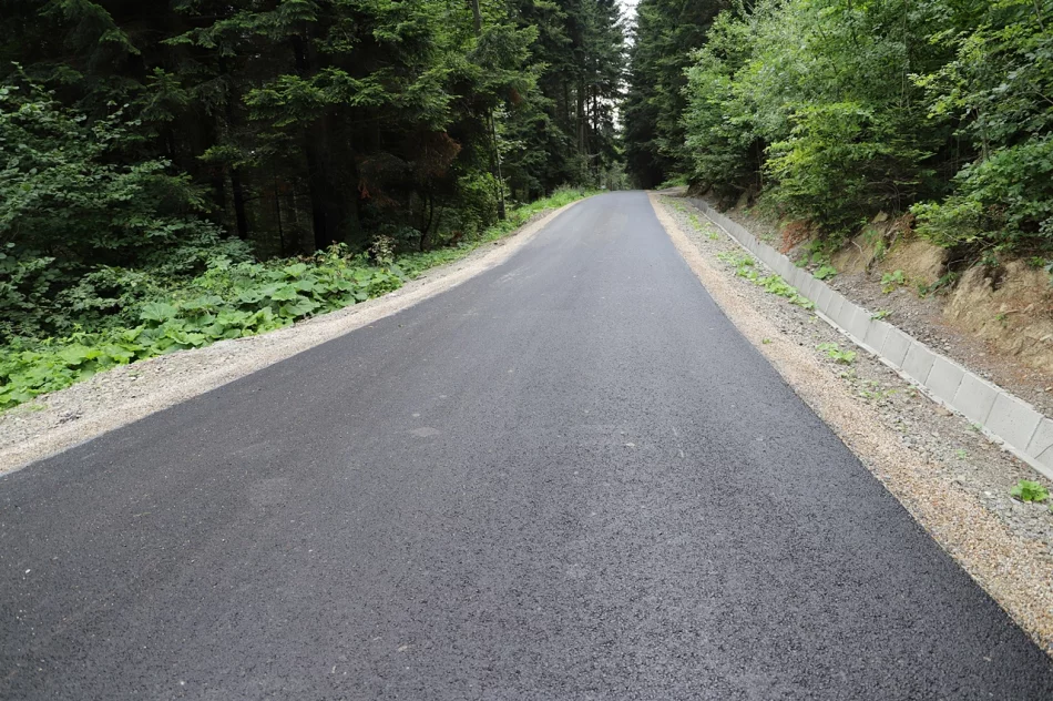 Odbiór drogi Wysokie - Gostwica - Długołęka - zdjęcie 11