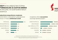 Wyniki badania IBRiS: Polakom tylko się wydaje, że wiedzą, które urządzenia w ich domu zużywają najwięcej prądu - zdjęcie główne