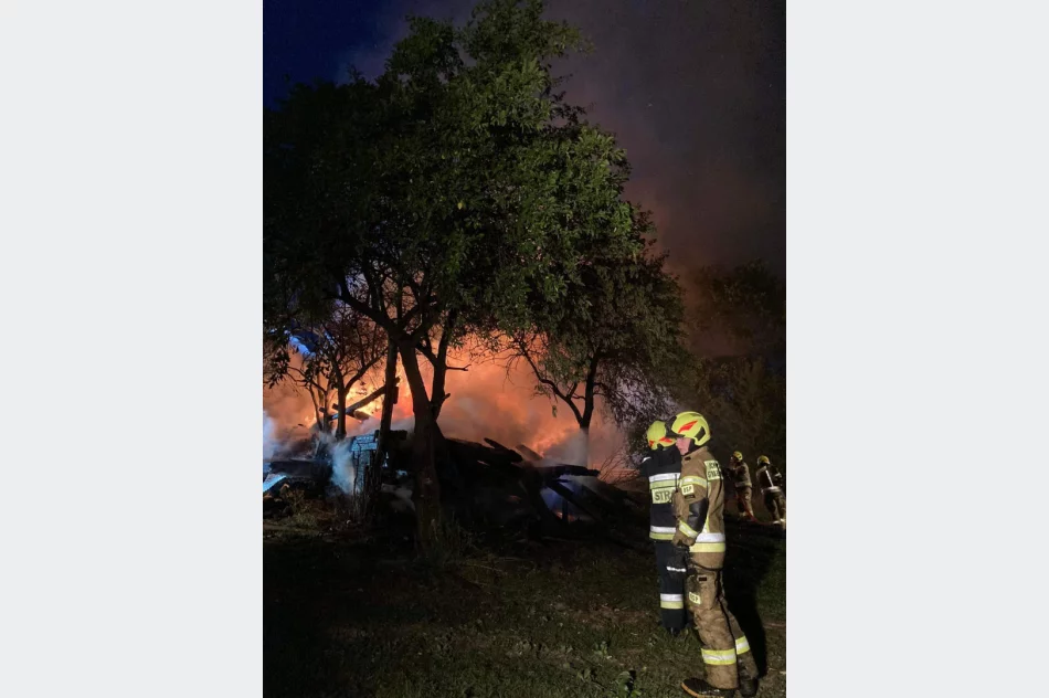 Drewno opałowe poszło z dymem - zdjęcie 2