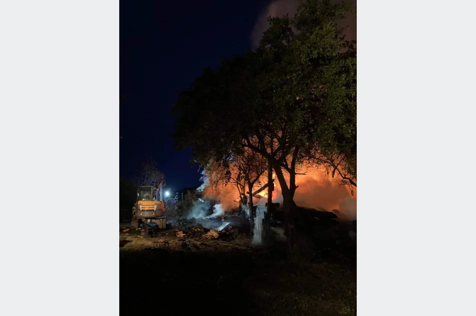 Drewno opałowe poszło z dymem - zdjęcie 3