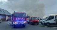Drewno opałowe poszło z dymem - zdjęcie 5