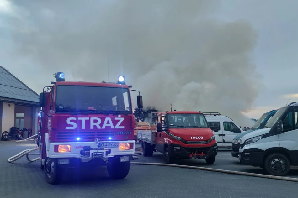 Drewno opałowe poszło z dymem - zdjęcie 5