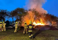 Drewno opałowe poszło z dymem - zdjęcie główne