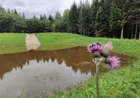 Nadleśnictwo inwestuje w retencję - powstały nowe stawy - zdjęcie główne