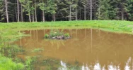 Nadleśnictwo inwestuje w retencję - powstały nowe stawy - zdjęcie 3
