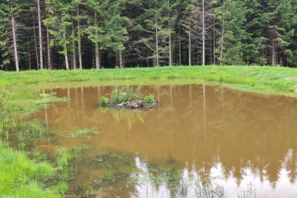 Nadleśnictwo inwestuje w retencję - powstały nowe stawy - zdjęcie 3