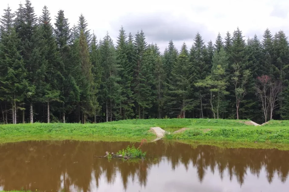 Nadleśnictwo inwestuje w retencję - powstały nowe stawy - zdjęcie 4