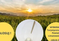 Internetowe głosowanie dobiega końca - zdjęcie główne