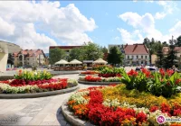 Ukwiecony rynek w Limanowej - zdjęcie główne