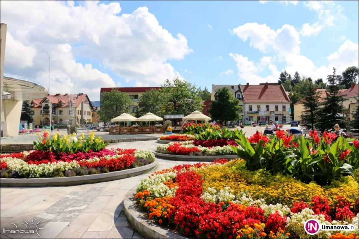 Ukwiecony rynek w Limanowej