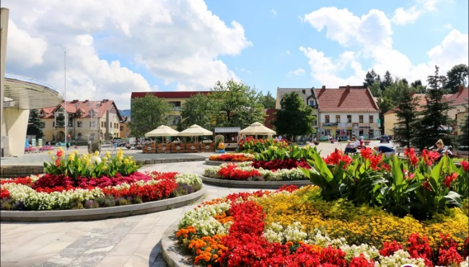 Ukwiecony rynek w Limanowej - zdjęcie 1