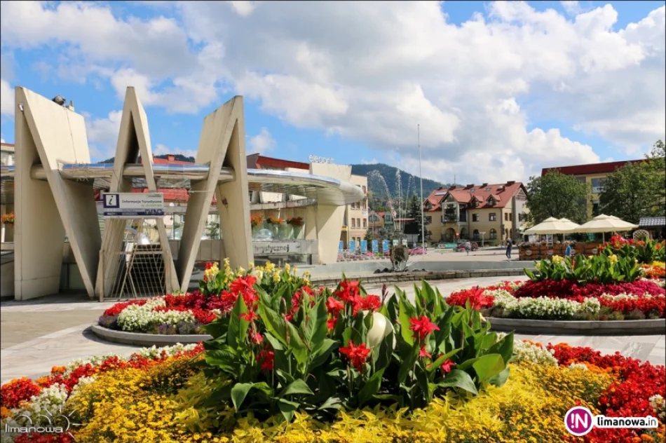 Ukwiecony rynek w Limanowej - zdjęcie 4