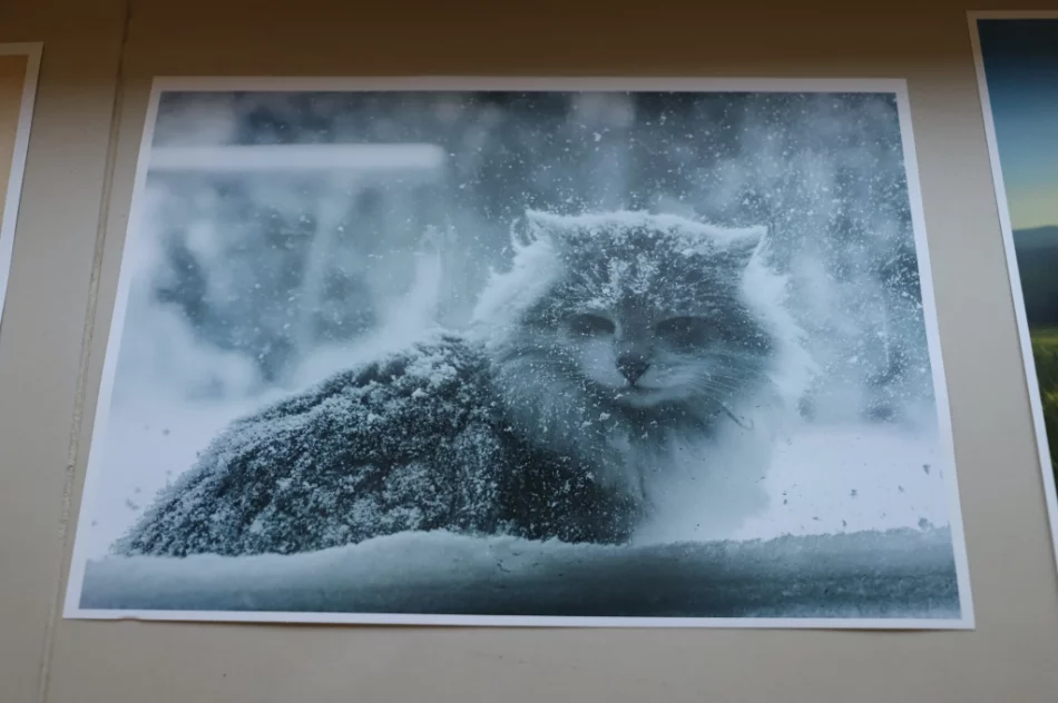 Konkursy na 30-lecie samorządu - zdjęcie 6