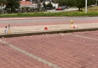 "Problemem są tony petów, puszek, butelek i śmieci" - zdjęcie główne