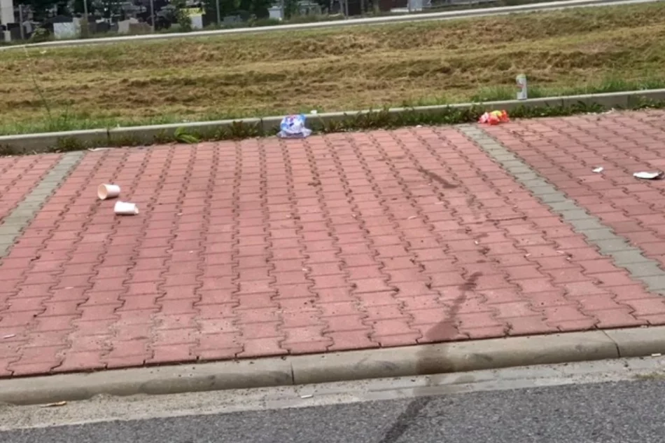 "Problemem są tony petów, puszek, butelek i śmieci" - zdjęcie 2