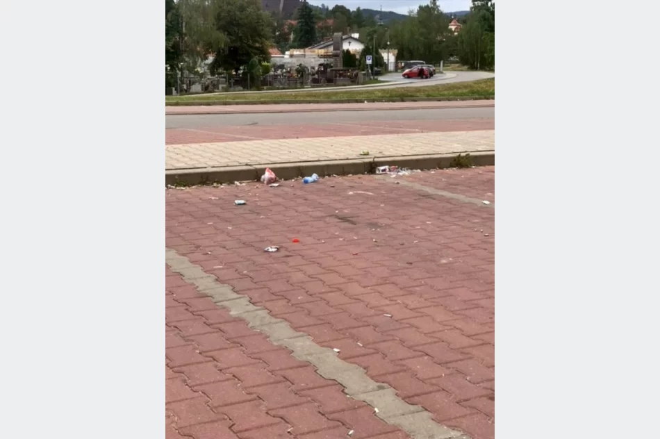 "Problemem są tony petów, puszek, butelek i śmieci" - zdjęcie 3