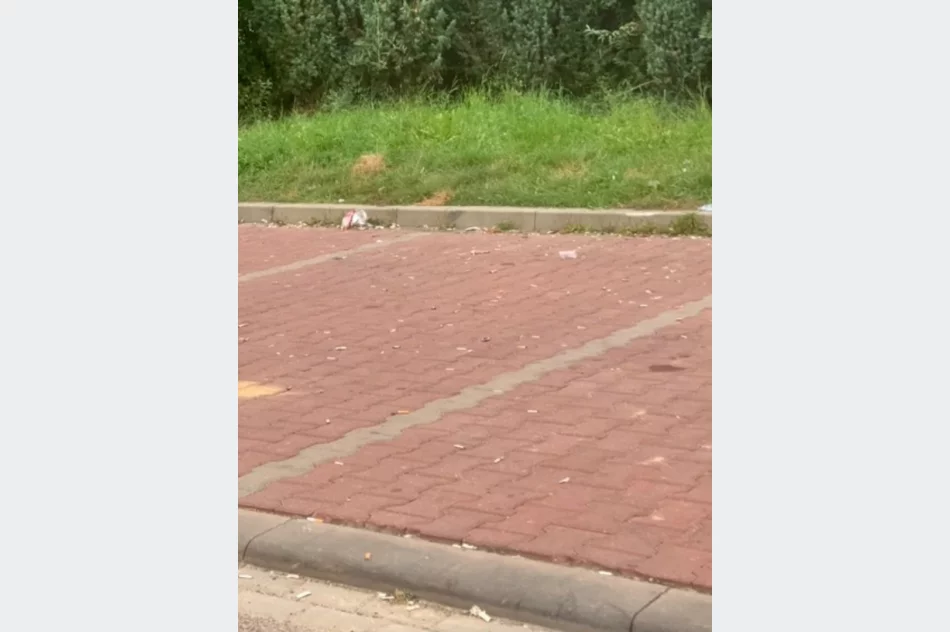 "Problemem są tony petów, puszek, butelek i śmieci" - zdjęcie 4