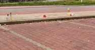 "Problemem są tony petów, puszek, butelek i śmieci" - zdjęcie 5