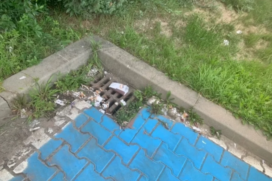 "Problemem są tony petów, puszek, butelek i śmieci" - zdjęcie 6