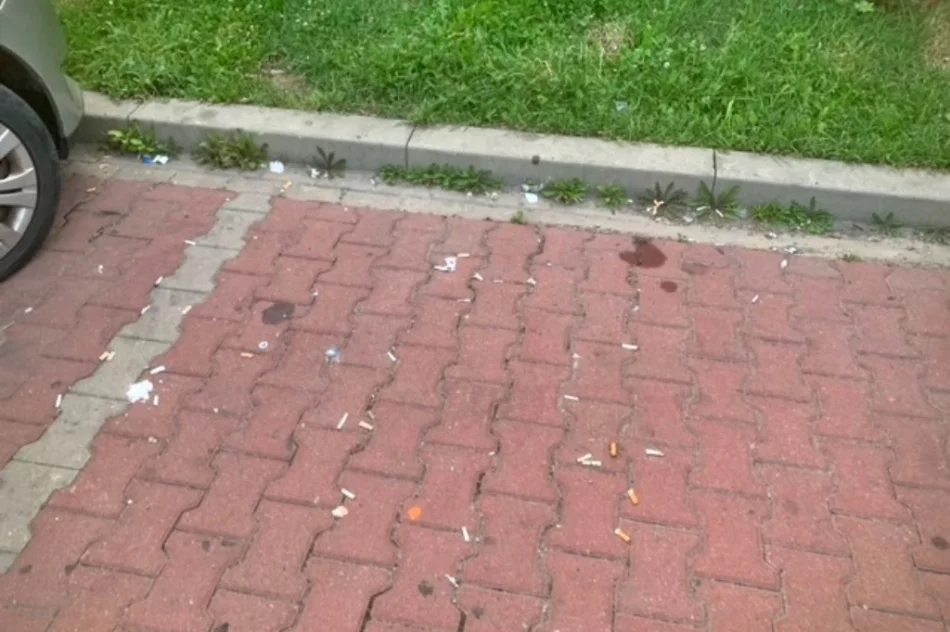 "Problemem są tony petów, puszek, butelek i śmieci" - zdjęcie 8
