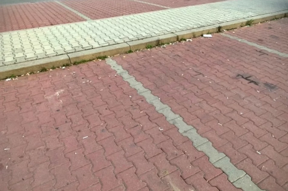 "Problemem są tony petów, puszek, butelek i śmieci" - zdjęcie 11