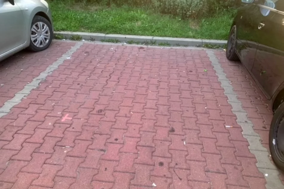 "Problemem są tony petów, puszek, butelek i śmieci" - zdjęcie 12