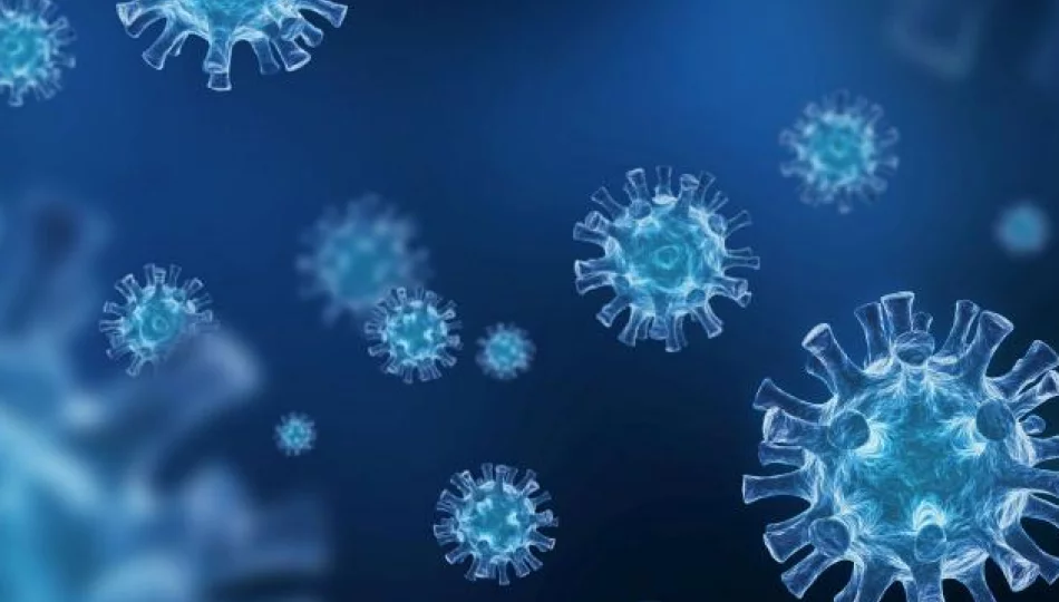 Wirusolog: Jesienna fala koronawirusa nadejdzie w listopadzie lub w grudniu - zdjęcie 1