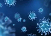 Wirusolog: Jesienna fala koronawirusa nadejdzie w listopadzie lub w grudniu - zdjęcie główne