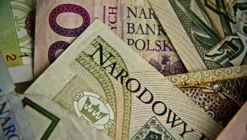 RPP: obniżaniu inflacji sprzyjałoby umocnienie złotego - zdjęcie 1