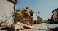 Pojechali na dożynki - zdjęcie 2