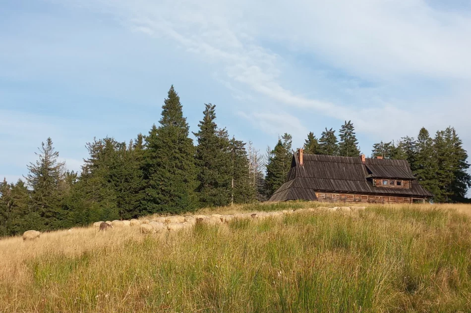 Międzynarodowa współpraca parków narodowych - zdjęcie 4
