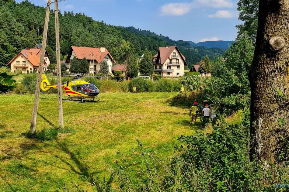 W wypadku ucierpiał 59-latek - zdjęcie 2