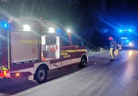 Samochód uderzył w drzewo  - zdjęcie główne